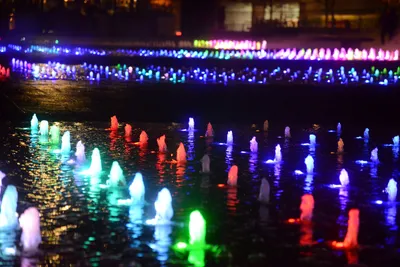 DSC_0716 (Large).JPG